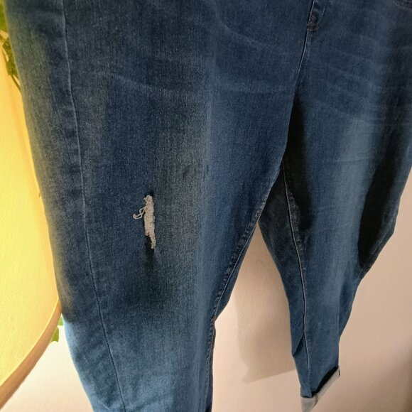 EUC: Terra & Sky Sze 3X (24W-26W) Mid-Blue Distressed Pull-On Cropped Jeans - Picture 6 of 7
